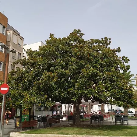 아파트 Estudios Placeta Dels Bous - Plaza Constitucion